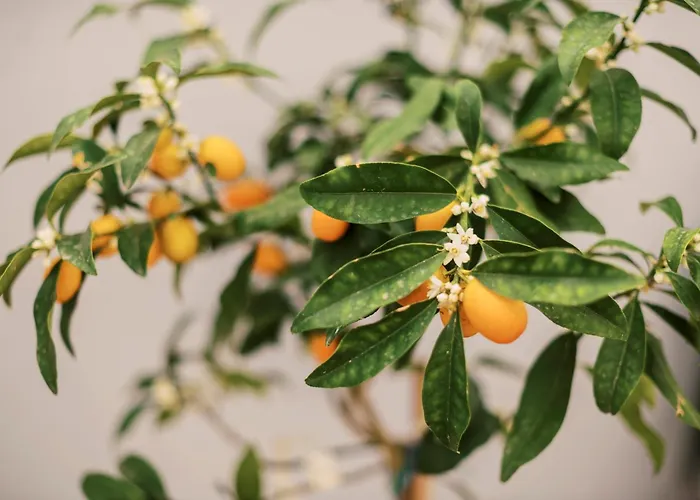 بيت للعطل Quattro Zie