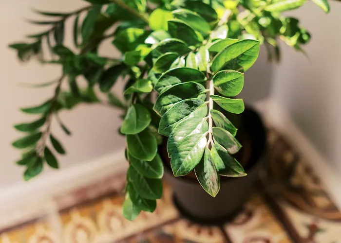 Quattro Zie بيت للعطل