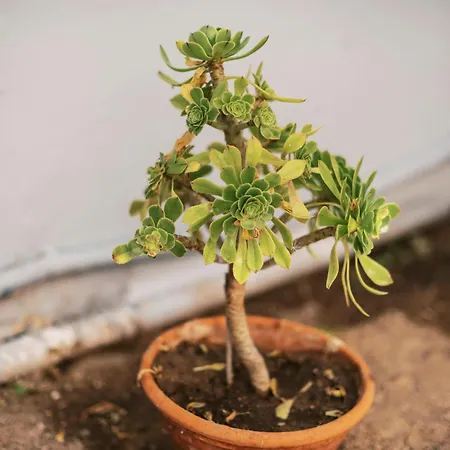 Quattro Zie Hébergement de vacances