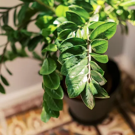 Quattro Zie Hébergement de vacances