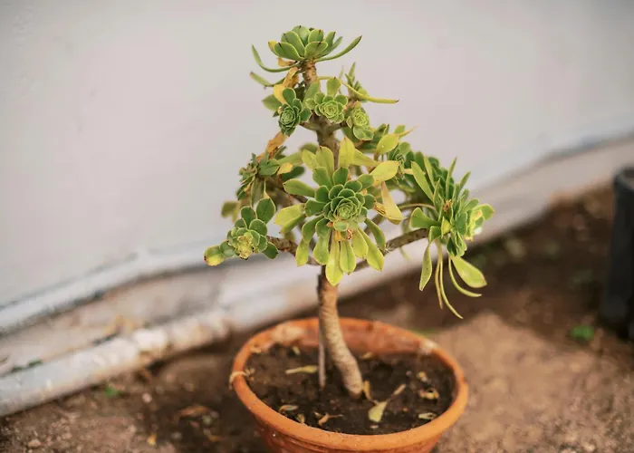 Quattro Zie Semesterbostad