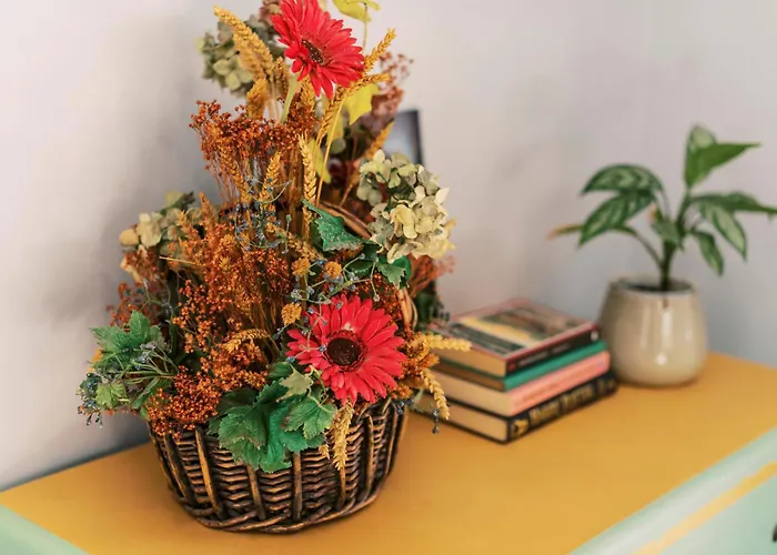 Quattro Zie * Rhodes City